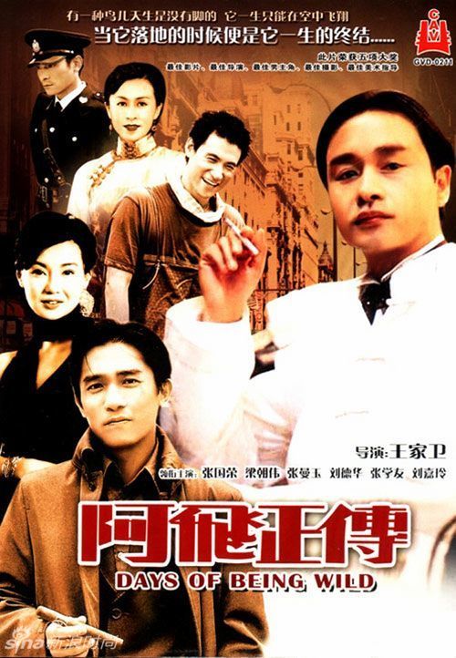 cpa证书编号qy和qz区别